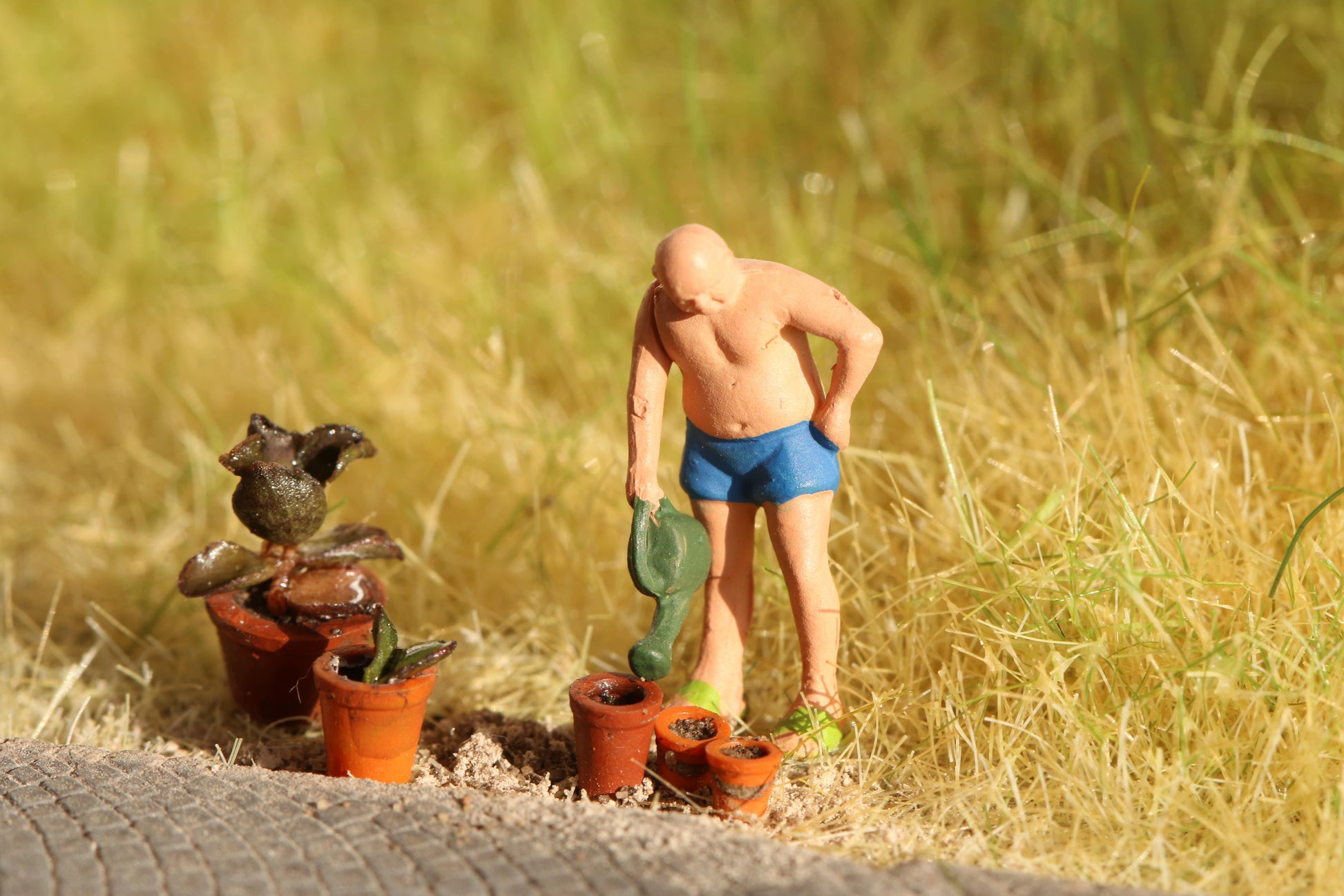 Modellbahn Figur gießt Wasser auf Dorr Modellbau Blumentöpfe und Pflanzen im Maßstab H0 1:87