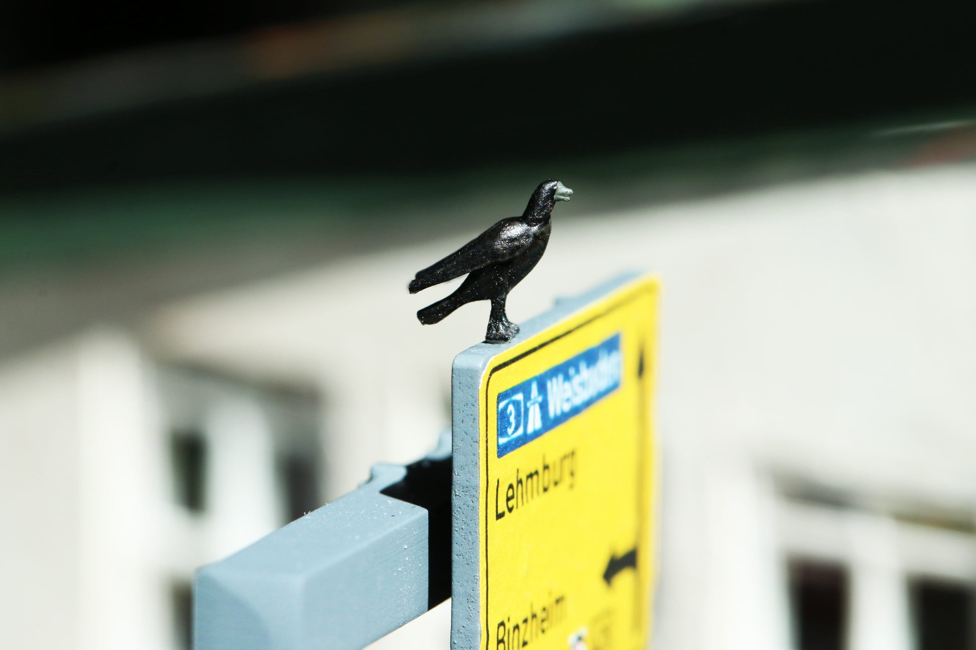 Eine Krähe von Dorr Modellbau im Maßstab 1:87 sitzt auf einem Landstraßen-Wegweiser.
